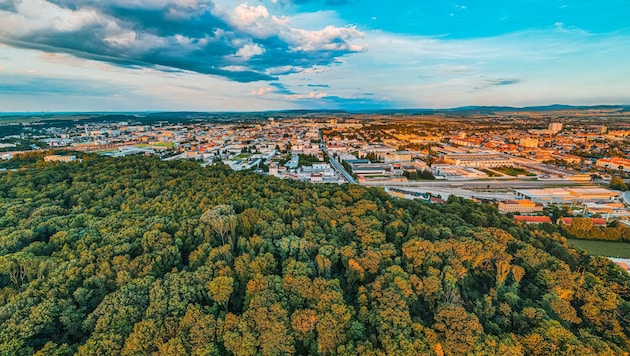 Mehr als 35.000 Bäume auf dem Gebiet der Landeshauptstadt einen Öko-Schutzschild gegen den Klimawandel. 12.000 weitere sollen folgen. (Bild: Arman Kalteis)