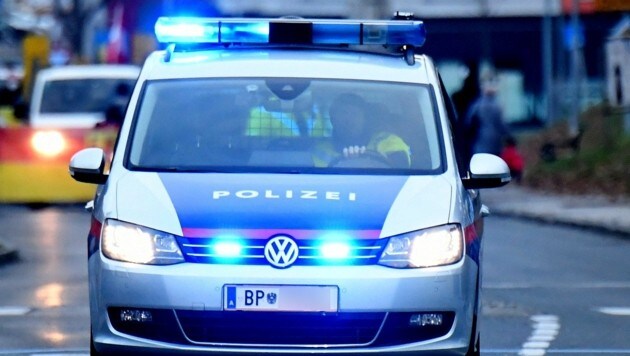 Die Polizei konnte die Täter im Bezirk Neusiedl am See verhaften. (Bild: P. Huber)