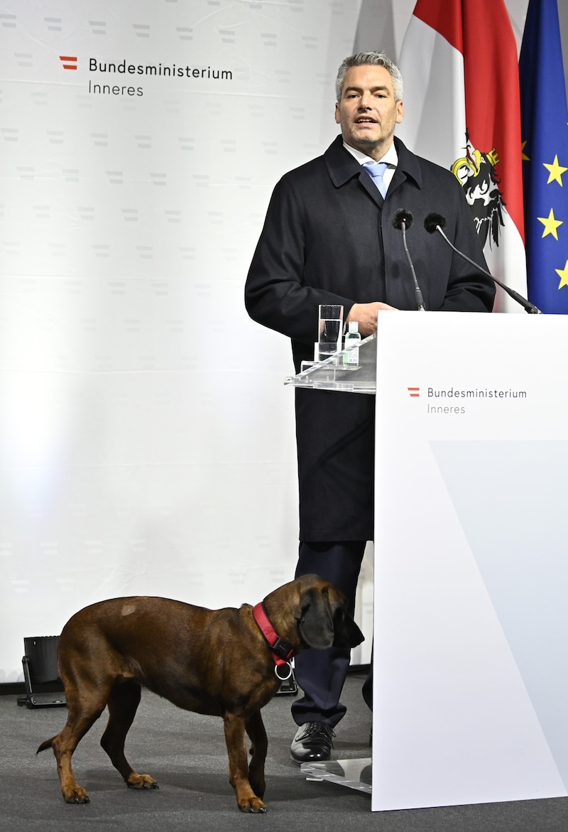 Bei der Rede Nehammers schlich sich Hund „Fanny“ auf die Bühne. (Bild: APA/HANS PUNZ)