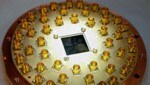 Der Quantencomputer-Chip, auf einer Leiterplatte montiert. (Bild: ETH Zürich/Quantum Device Lab)