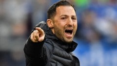 Domenico Tedesco (Bild: AP)