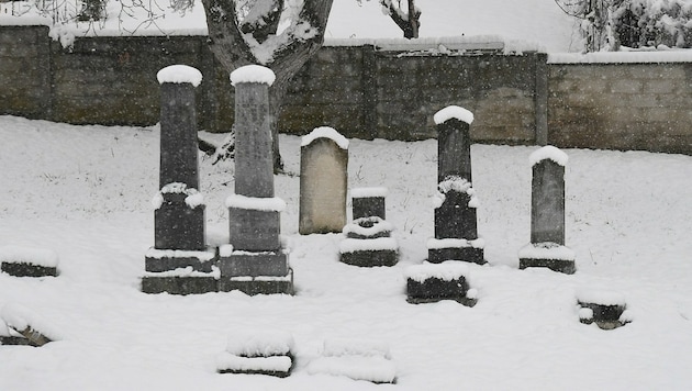 Wegen schwerem Schnee auf den Bäumen mussten einige Begräbnisse verschoben werden. (Symbolbild) (Bild: P. Huber)