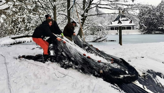 Am Teich in Mariasdorf wird wieder abgefischt, geerntet heißt es im Fachjargon. (Bild: Christian Schulter)