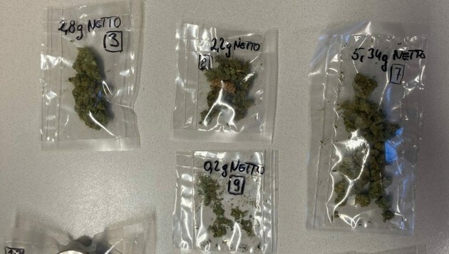 Die Polizei stellte Cannabis sicher (Bild: LPD Salzburg)