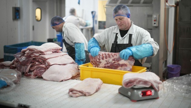 Arbeiter in einem fleischverarbeitenden Betrieb in Südengland (Bild: AFP)