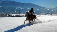 Um Muskulatur und Gelenke zu schonen, sollten Reiter und Pferd aufgewärmt sein. Für die Sicherheit gibt es für das Tier einen speziellen Winterbeschlag. (Bild: Stefan Ruef)