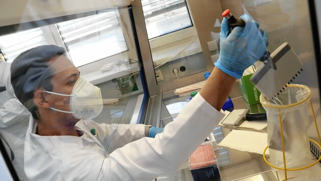 Die Auswertung der steirischen PCR-Proben erfolgt in einem Labor in Graz. (Bild: Christian Jauschowetz)
