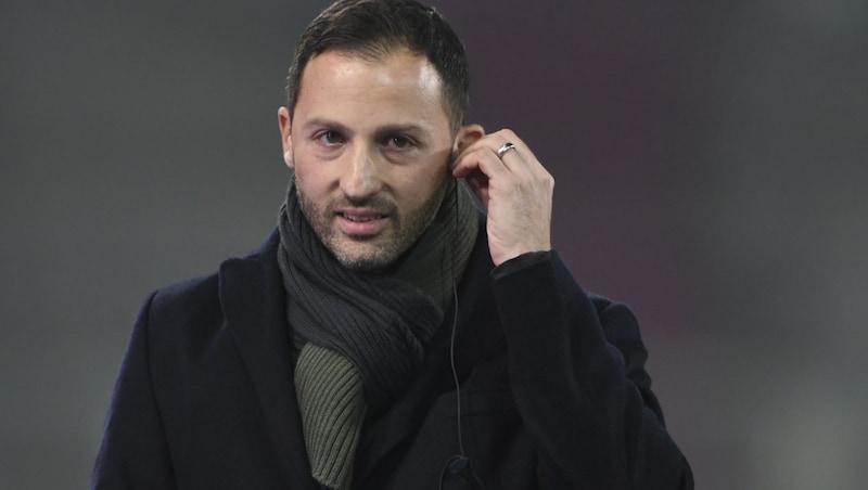 Belgium team boss Domenico Tedesco (Bild: AFP or licensors)