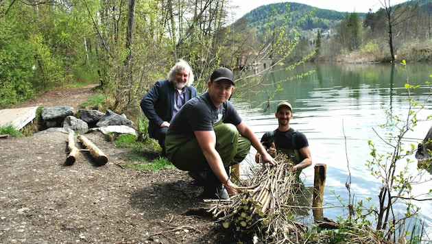 Naturschützer sichern das Wörthersee-Ufer. (Bild: Stradtpresse Fritz-Glinik)