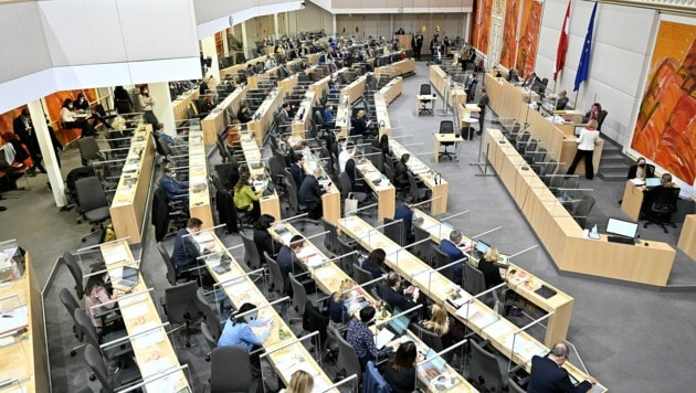 Die FPÖ brach in der Nationalratssitzung eine Impfpflicht-Debatte vom Zaun. (Bild: APA/Hans Punz)