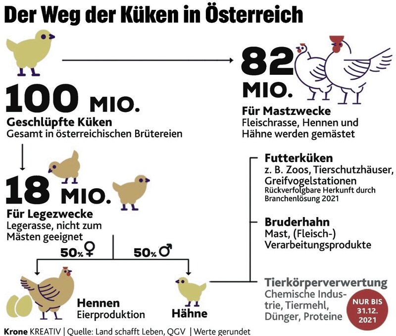 (Bild: Krone Kreativ)