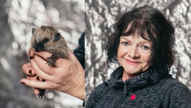 Adele Dornig hat seit jeher ein großes Herz für Tiere. Besonders angetan haben es ihr die Igel. Der Bestand der kleinen Stacheltiere ist seit Jahren rückläufig. (Bild: Mathis Fotografie)