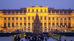 Schloss Schönbrunn (Bild: Michael Schulte)