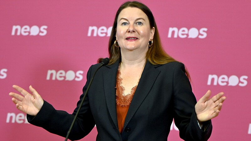 Mluvčí NEOS pro energetiku Karin Doppelbauerová (Bild: APA/HERBERT NEUBAUER)