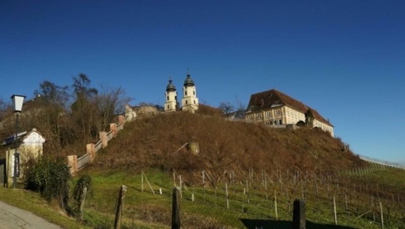 Unter dem Schloss Stainz sollen zwei Wohnhäuser entstehen. (Bild: Pail Sepp)