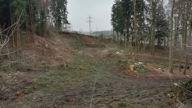 Beim Bau der Starkstromleitung im Innviertel stehen bereits 65 von insgesamt 80 Masten. (Bild: ZVG)