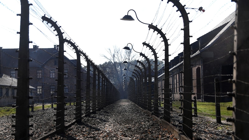 Die Befreiung des Konzentrationslagers Auschwitz, dem größten Komplex an Gefangenenlagern der Nazis, jährt sich heuer zum 80. Mal. Über eine Million Menschen wurden dort ermordet. (Bild: APA/HELMUT FOHRINGER)