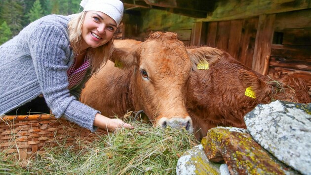 Familienbetriebe mit starker Öko-Ausrichtung sollten künftig auch mehr profitieren. (Bild: Evelyn Hronek/Kamerawerk)