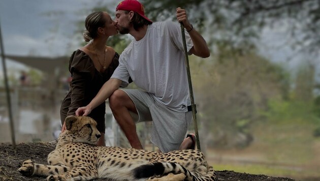 Geparden-Flüsterer Menzel: „Der Stock macht sie zahm.“ Für so viel Mut gab’s auf Mauritius auch einen Kuss von seiner Merle. (Bild: ZVG)