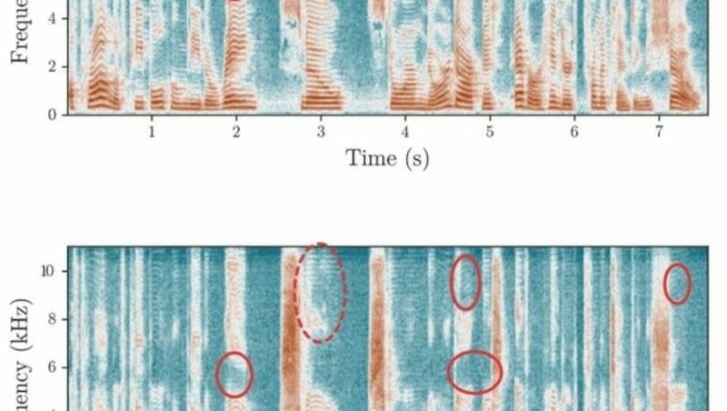 Diese Spektrogramme zeigen die Frequenzverteilung über die Zeit hinweg von einer echten (oben) und einer gefälschten Audiodatei (unten). Die kleinen Unterschiede in den hohen Frequenzen sind mit roten Kreisen markiert. (Bild: RUB, Lehrstuhl für Systemsicherheit)