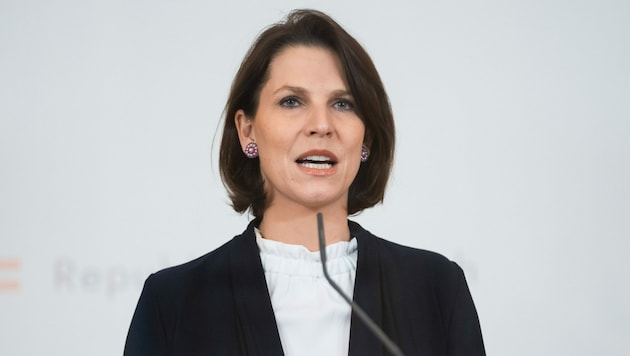 Karoline Edtstadler (Bild: APA/GEORG HOCHMUTH)