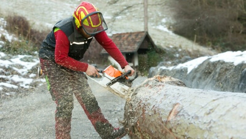 Das Holzrücken ist bestimmt keine leichte Arbeit. (Bild: Mathis Fotografie)