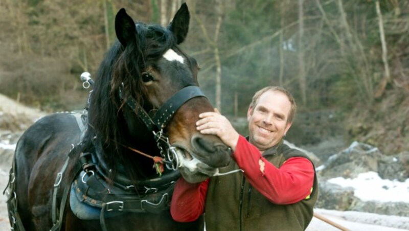 Alexander Kopf genießt das Arbeiten mit seinen Pferden. (Bild: Mathis Fotografie)