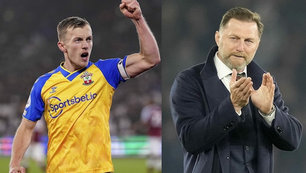 Torschütze James Ward-Prowse und sein Trainer Ralph Hasenhüttl (Bild: AP; Frank Augstein / AP / picturedesk.com )