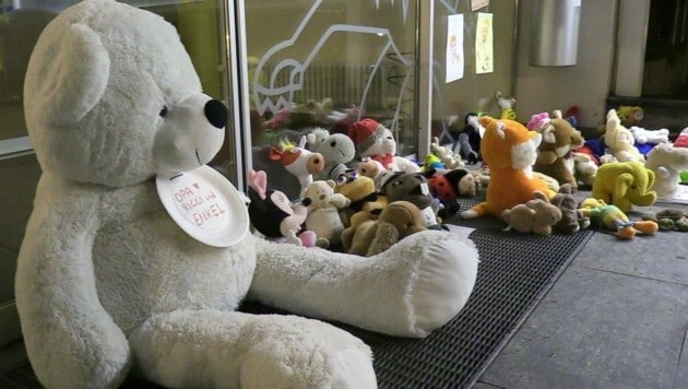 Teddy & Co wurden aus Solidarität vor das Wolfurter Gemeindeamt gelegt. (Bild: Kronenzeitung)