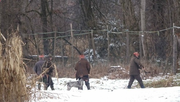 Treibende Jäger stehen unmittelbar neben dem „Auswilderungsbiotop“ von Albin Flucher in Leitring. (Bild: VGT.at)