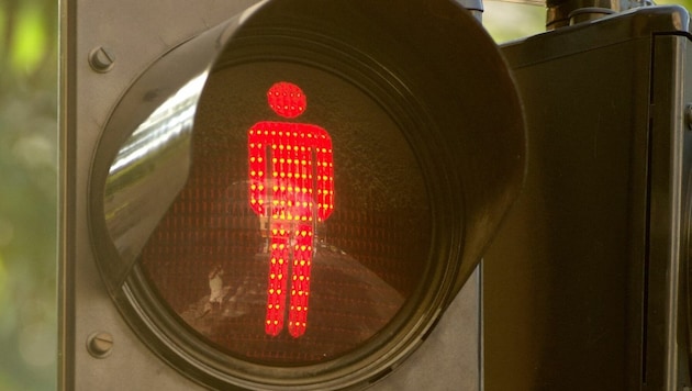 After the end of the traffic light coalition in Germany, there are increasing calls for a quicker route to a new election. (Bild: zVg)