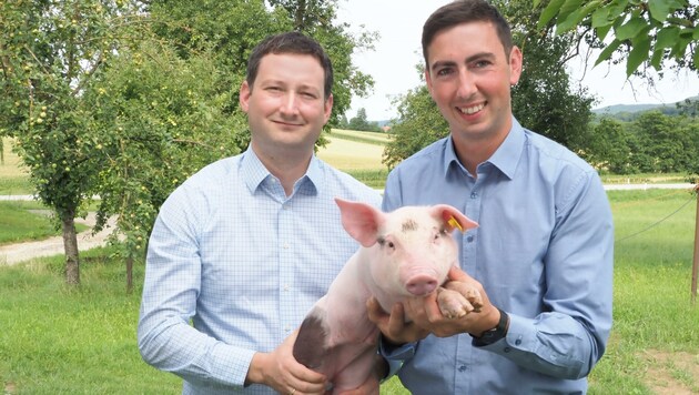 Unerbittlich kämpfen Nemecek (li.) und Bernhuber für die ernsten Anliegen unserer Schweinebauern: Brüssel scheint unseren Landwirten jetzt helfen zu wollen. (Bild: NÖBB)