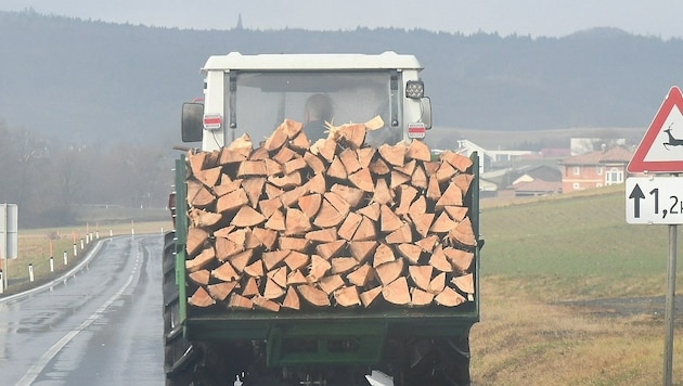 Landwirte produzieren weiterhin Holz (Bild: P. Huber)