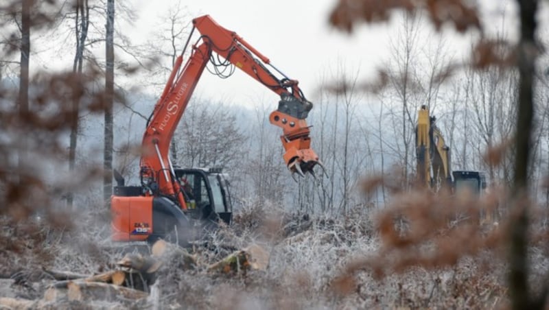 Schweres Gerät im Einsatz bei der Rodung (Bild: Wolfgang Spitzbart .)