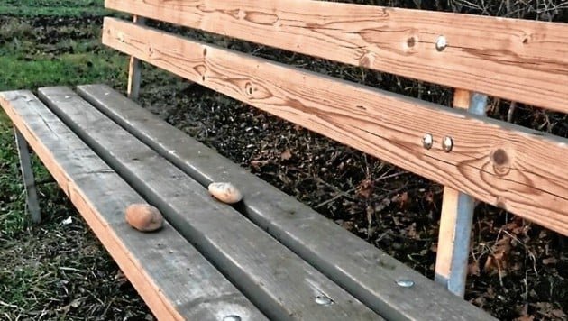 Zwei Ausweise waren mit Steinen beschwert auf einer Sitzbank bei einem Marterl nahe Frauenkirchen abgelegt worden. (Bild: Charlotte Titz)