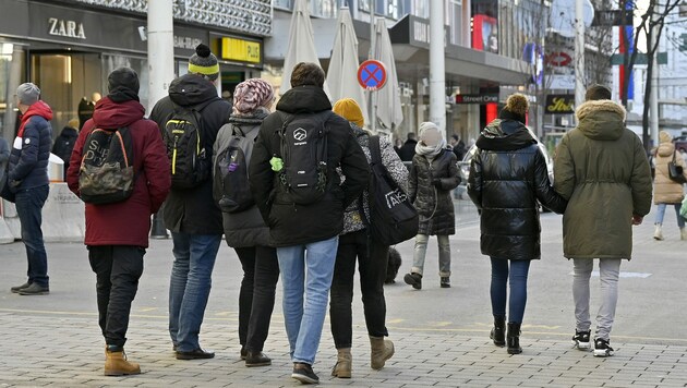 Rund 30 Prozent der Zuwanderer kommen aus der EU, 70 Prozent aus Drittstaaten. (Bild: APA/HANS PUNZ)