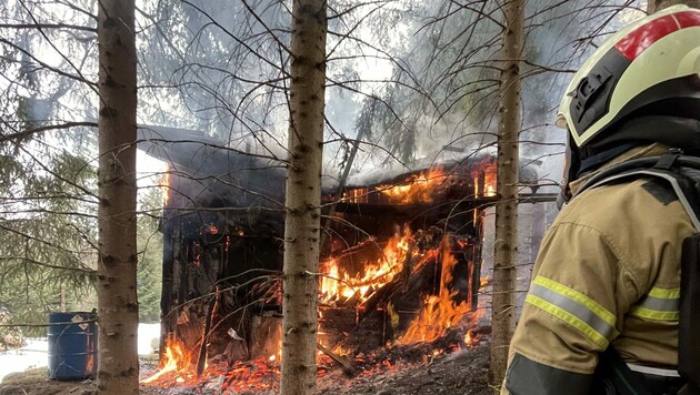 In Mittersill brannte eine Waldhütte. (Bild: Freiwillige Feuerwehr Mittersill)