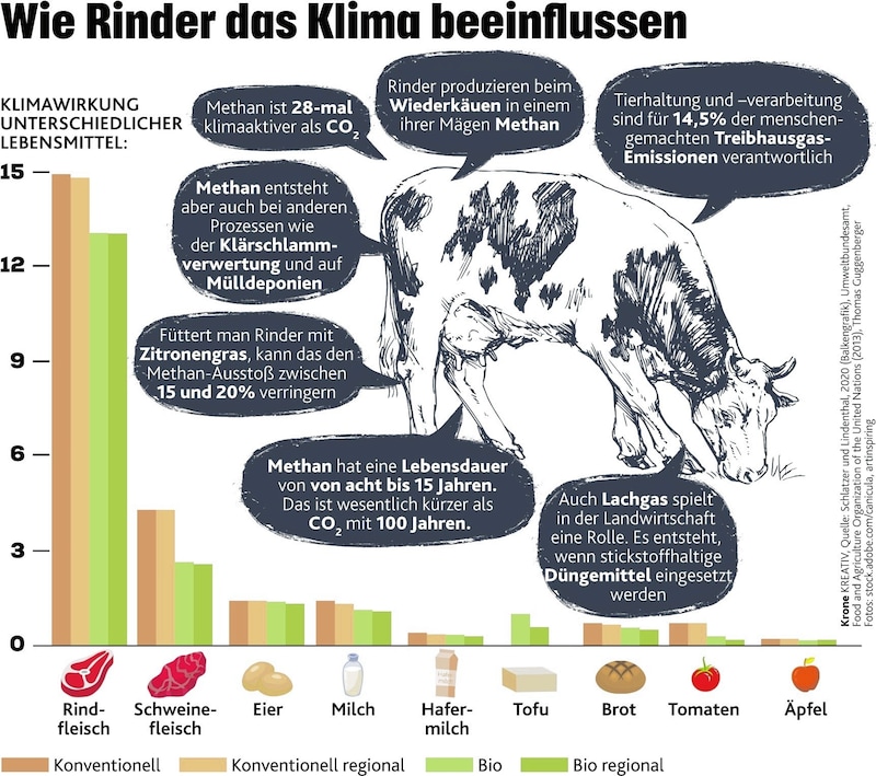 (Bild: Krone Kreativ)