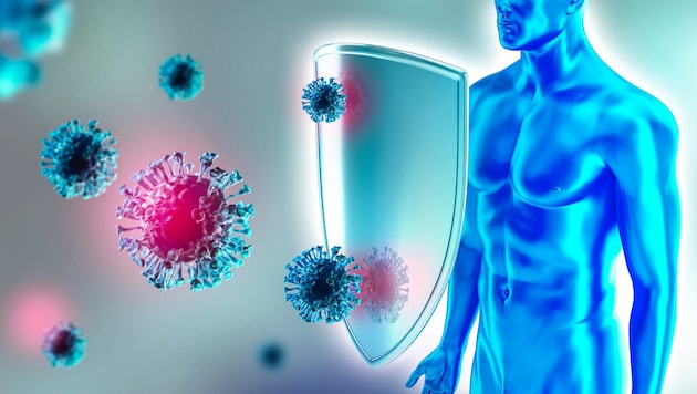 Unser Körper muss ständig gegen schädliche Stoffe, wie Viren oder Bakterien, ankämpfen. (Bild: Bikej Barakus/stock.adobe.com)