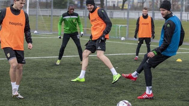 Stürmer Haris Tabakovic hat sichtlich Freude am Training mit Ball. (Bild: Maurice Shourot)