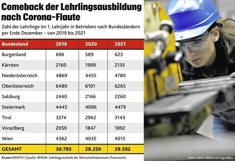 (Bild: Krone Kreativ)