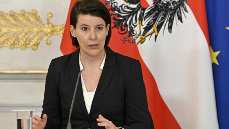 Katharina Reich (Bild: APA/HANS PUNZ)