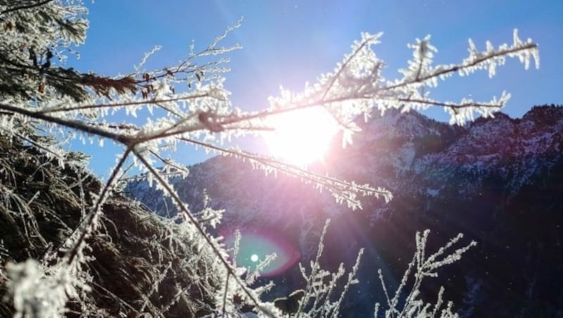 Glitzernder Raureif in der Morgensonne (Bild: Rubina Bergauer)