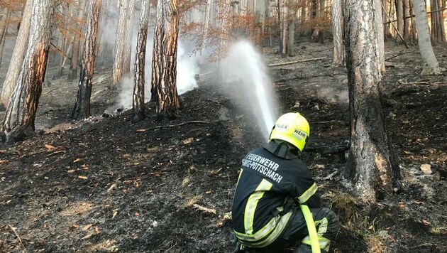 Die heimische Feuerwehr zog viele Lehren aus den Brandeinsätzen im Vorjahr (Bild: Einsatzdoku.at)