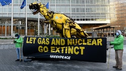 Greenpeace-Protest gegen Kernkraft und Erdgas in Brüssel (Bild: APA/AFP/JOHN THYS)