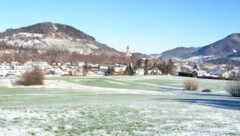 Naturschützer hoffen auf Rettung des Areals in Kirchberg. (Bild: Gabriele Moser)