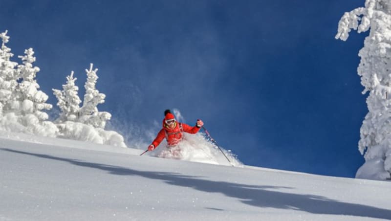 Unberührter Pulverschnee wartet als Belohnung (Bild: Paul Sodamin)