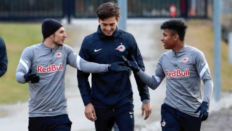 Mit Salzburg wurde Farkas viermal Meister, dreimal Cupsieger (Bild: Kronen Zeitung)