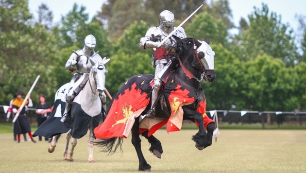 Bei Mittelalter-Festivals und in Filmen sind die Ritter-Pferde oft stattliche Rösser. Ihre realen Vorgänger waren aber deutlich kleiner. (Bild: stock.adobe.com, Krone KREATIV)