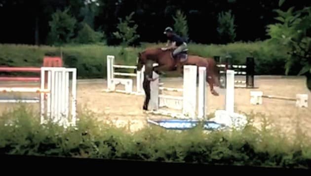 Das Pferd springt mit Beerbaum über ein Hindernis und wird gleichzeitig geschlagen. (Bild: RTL+ (Screenshot))